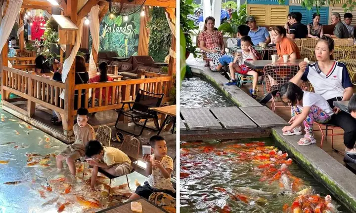 Điểm Danh Các Quán Cà Phê Cá Koi Thủ Đức Nổi Tiếng Điểm Danh Các Quán Cà Phê Cá Koi Thủ Đức Nổi Tiếng