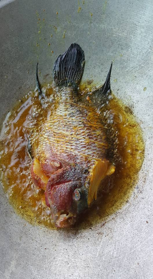 Cá La Hán nguyên con đang được rán giòn trong chảo dầu sôi.