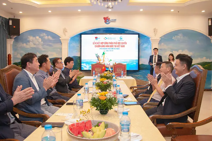 Khám Phá Thế Giới Giày Có Hình Dáng Kỳ Dị Độc Đáo Nhất