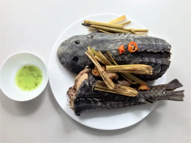 Cá Lau Kiếng Ăn Mồi Gì? Chế Độ Dinh Dưỡng Toàn Diện