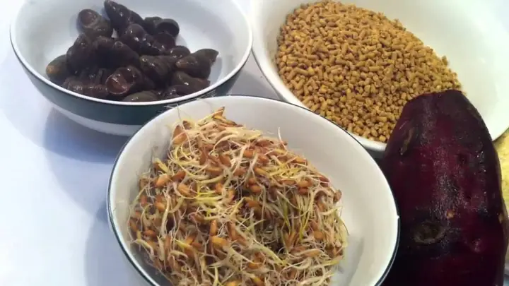 Cá Leo Ăn Mồi Gì Để Lớn Nhanh Và Khỏe Mạnh?
