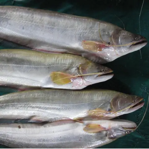 Thiết kế chưa có tên (2)