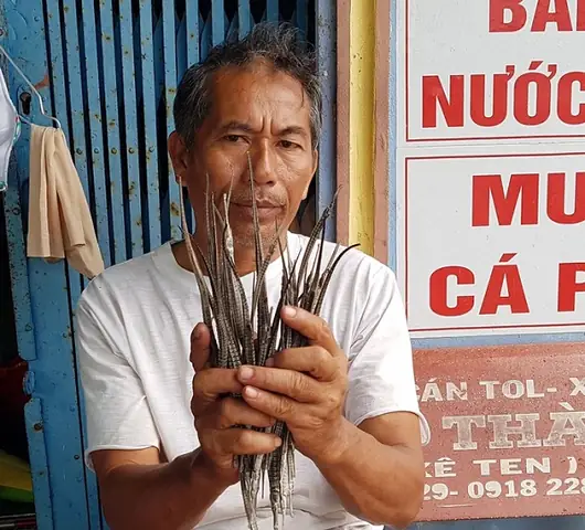 Cá Lìm Kìm Ngựa: Đặc Điểm, Cách Nuôi Và Chăm Sóc Đúng Cách