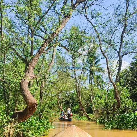 cá linh là cá nước ngọt hay mặn