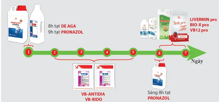 Cá Lóc Bị Ghẻ: Nguyên Nhân, Dấu Hiệu và Cách Điều Trị Hiệu Quả