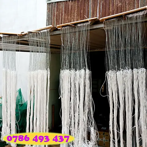 Câu Giăng Cá Lóc, Cá Trê: Hướng Dẫn Kỹ Thuật Hiệu Quả Từ A-Z