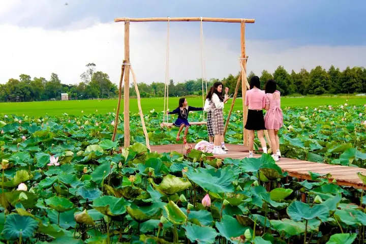Cá Lóc Đầu Bông Sen: Đặc Điểm, Cách Nuôi và Chăm Sóc Hiệu Quả