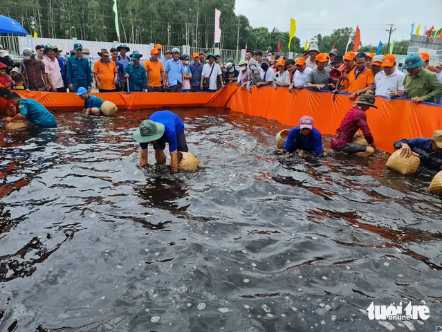 Cá Lóc Rừng U Minh: Đặc Điểm, Giá Trị & Cách Nhận Biết