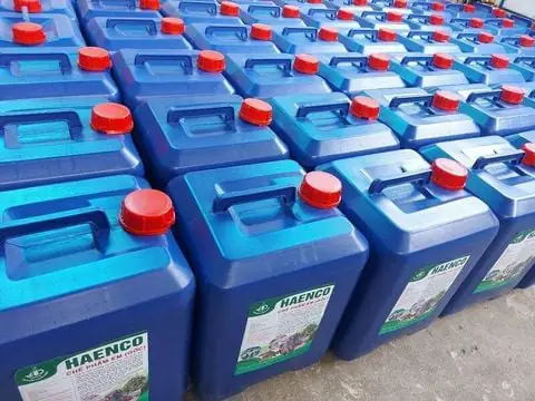 Cá Lóc Sống Ở Đâu? Môi Trường Tự Nhiên Và Đặc Điểm Phân Bố