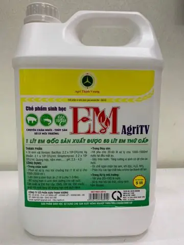 Cá Lóc Sống Ở Đâu? Môi Trường Tự Nhiên Và Đặc Điểm Phân Bố