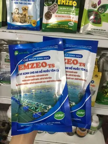 Cá Lóc Sống Ở Đâu? Môi Trường Tự Nhiên Và Đặc Điểm Phân Bố