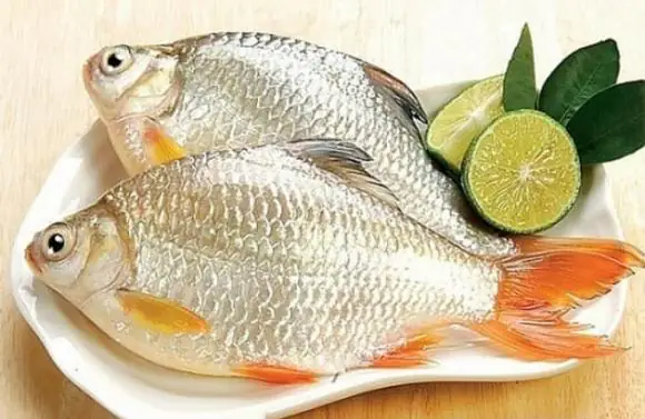 cá lớn ăn cá nhỏ
