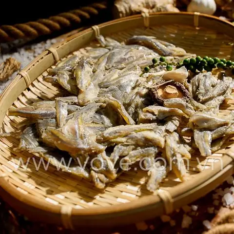 Cá Lòng Tong Biển: Đặc Điểm, Môi Trường Sống Và Giá Trị