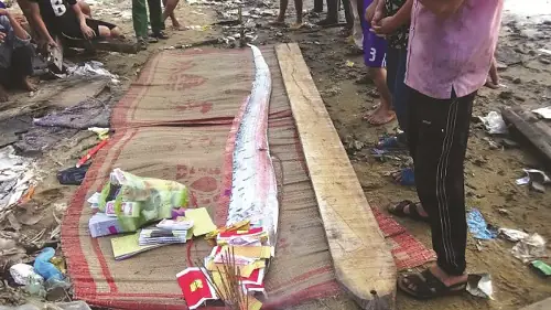 cá mái chèo điềm báo