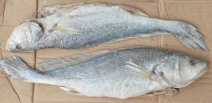 cá mặn là cá gì, cá muối biển, cá khô mặn, cá mặn tphcm, bán cá mặn