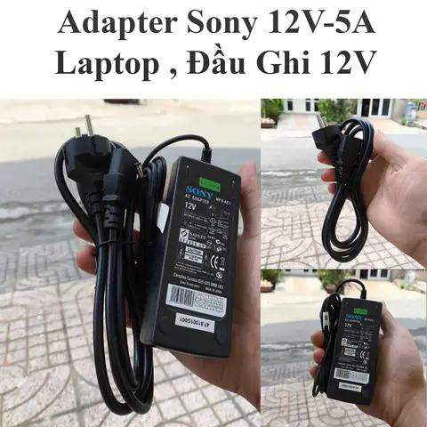 cá mập 3 đầu cá mập 3 đầu