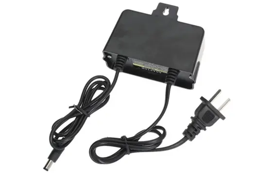 cá mập 3 đầu cá mập 3 đầu