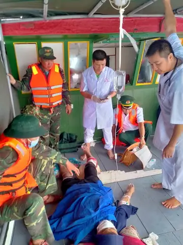 Cá Mập Biển Đông: Khám Phá Các Loài, Đặc Điểm và Tầm Quan Trọng Sinh Thái