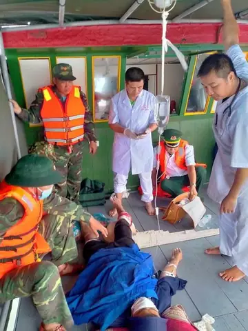Cá Mập Biển Đông: Khám Phá Các Loài, Đặc Điểm và Tầm Quan Trọng Sinh Thái