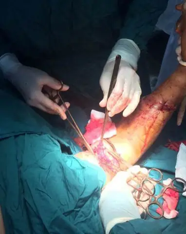 Cá Mập Biển Đông: Khám Phá Các Loài, Đặc Điểm và Tầm Quan Trọng Sinh Thái