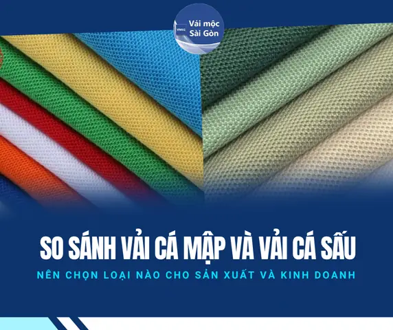 Cá Mập Và Cá Sấu: Đặc Điểm Nào Giúp Phân Biệt Hai Loài?