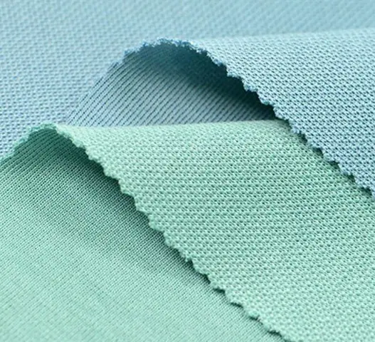 Cá Mập Và Cá Sấu: Đặc Điểm Nào Giúp Phân Biệt Hai Loài?