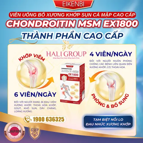 Cá Mập Có Bao Nhiêu Xương? Giải Mã Cấu Trúc Đặc Biệt Của Chúng