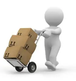 Cá Mập Đen Đuôi Đỏ: Đặc Điểm, Cách Nuôi Và Chăm Sóc Đúng Cách