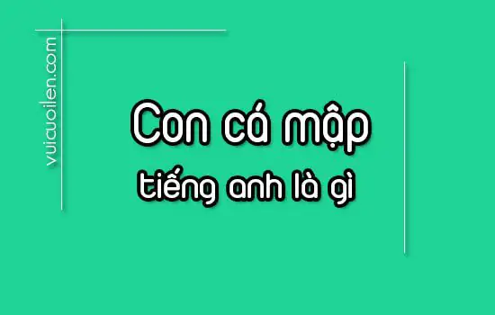 Con cá mập tiếng anh là gì
