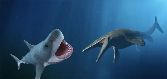 Megalodon và Mosasaurus: Ai là vua biển cả thời tiền sử?