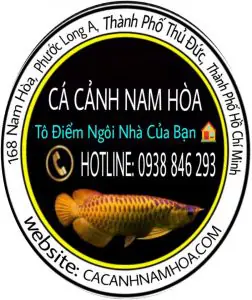 cá mập nước ngọt