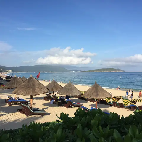 cá mập siêu bạo chúa