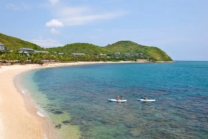 cá mập siêu bạo chúa