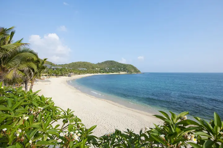 cá mập siêu bạo chúa