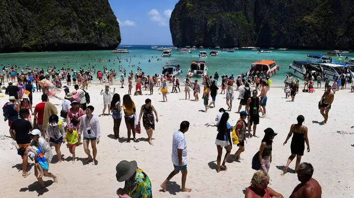 Khám Phá Cá Mập 'Ma' Thái Lan: Chimaera Supapae Bí Ẩn