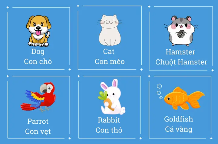 Từ vựng tiếng anh chủ đề thú cưng