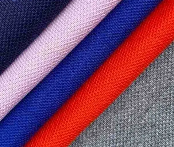 Cá mập và cá sấu: Loài nào thực sự mạnh hơn?