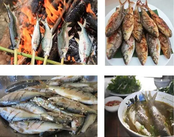 Cá Mát Sông Giăng: Khám Phá Đặc Sản, Giá Trị và Công Tác Bảo Tồn