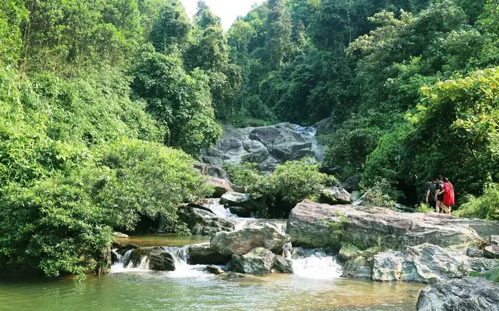 Cá Mát Sông Giăng: Khám Phá Đặc Sản, Giá Trị và Công Tác Bảo Tồn