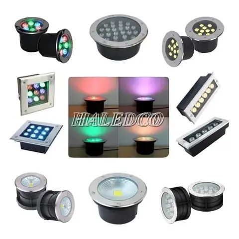 Cá Mặt Trời Cảnh: Hướng Dẫn Nuôi, Chăm Sóc Cho Người Mới