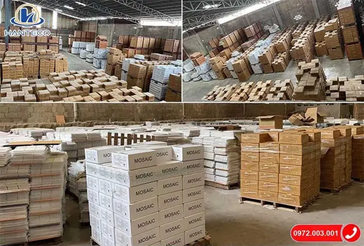 Các Loại Cá Cảnh Màu Xanh Dương Tuyệt Đẹp và Hướng Dẫn Chăm Sóc