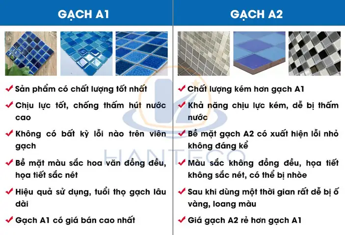Các Loại Cá Cảnh Màu Xanh Dương Tuyệt Đẹp và Hướng Dẫn Chăm Sóc