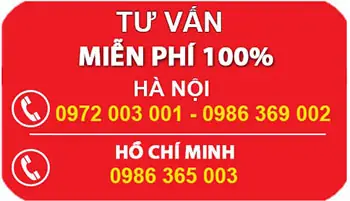 Các Loại Cá Cảnh Màu Xanh Dương Tuyệt Đẹp và Hướng Dẫn Chăm Sóc