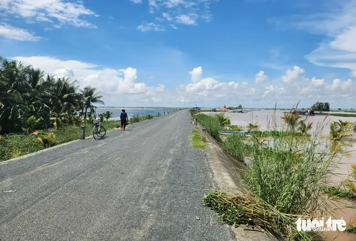 Cá Miền Tây Mùa Nước Nổi: Đời Sống, Sinh Kế Và Đặc Sản Cá Miền Tây Mùa Nước Nổi: Đời Sống, Sinh Kế Và Đặc Sản