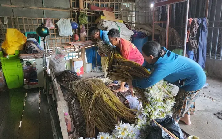 Cá Miền Tây Mùa Nước Nổi: Đời Sống, Sinh Kế Và Đặc Sản Cá Miền Tây Mùa Nước Nổi: Đời Sống, Sinh Kế Và Đặc Sản