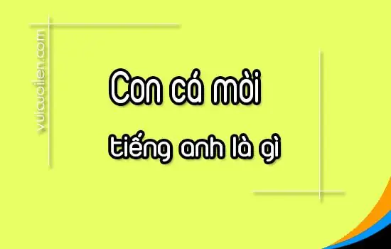 Cá Mòi Tiếng Anh Là Gì? Tên Gọi, Phát Âm & Thông Tin Chi Tiết