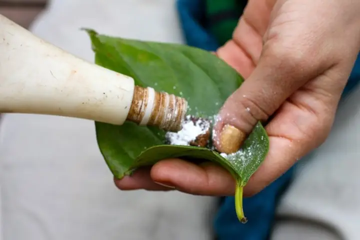 Cách khử mùi tanh của cá lóc đồng