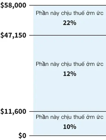 Cá Nào Có Độc Và Cách Nhận Biết, Phòng Tránh Ngộ Độc?