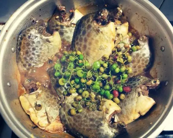 Cá Nâu Cà Mau: Đặc Điểm, Giá Trị Và Cách Chế Biến Món Ngon
