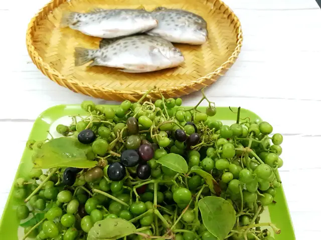 Cá Nâu Cà Mau: Đặc Điểm, Giá Trị Và Cách Chế Biến Món Ngon